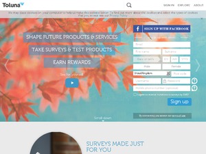 Toluna USA website