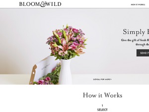 Bloom and Wild website