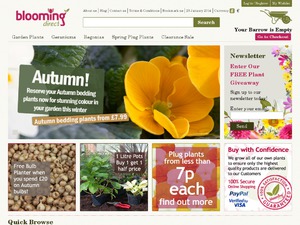 Blooming Direct website