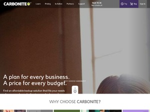 Carbonite website