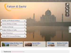 Falcon and Sachz website