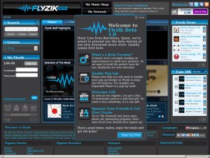 Flyzik website