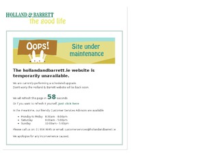 Holland & Barrett Ireland website