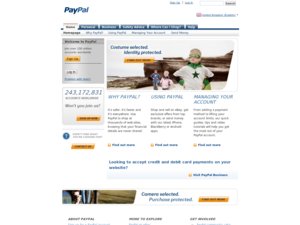 Paypal website